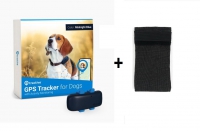 Tractive GPS DOG 4 + Sleeve zwart