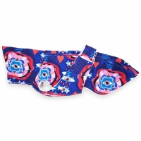 W1 1Blue Eye maximale ruglengte 46 cm (bolle rug/windhond)