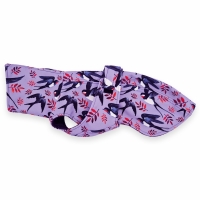 IG2 Purple Swallow maximale ruglengte 42 cm (bolle rug/windhond)