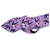 IG2 Purple Swallow maximale ruglengte 42 cm (bolle rug/windhond)