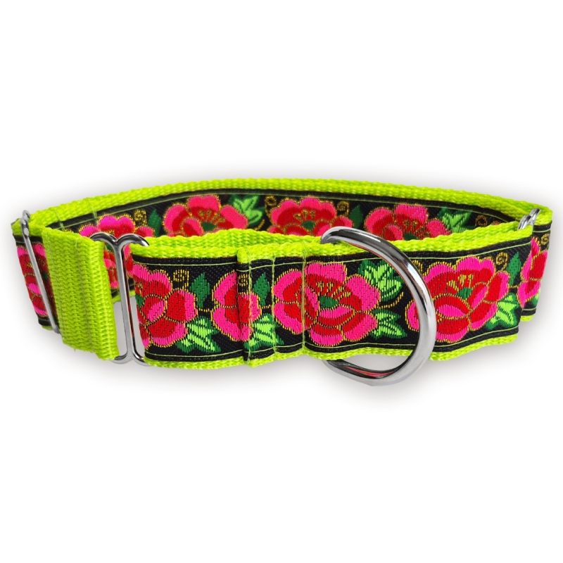 Martingale halsband - Electric Rose - Lime - 4 cm Martingale halsband - Electric Rose - Lime - 4 cm