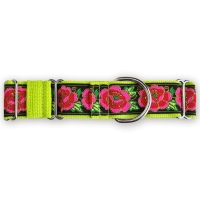 Martingale halsband - Electric Rose - Lime - 4 cm