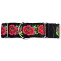 Martingale halsband - Electric Rose Black - 4 cm